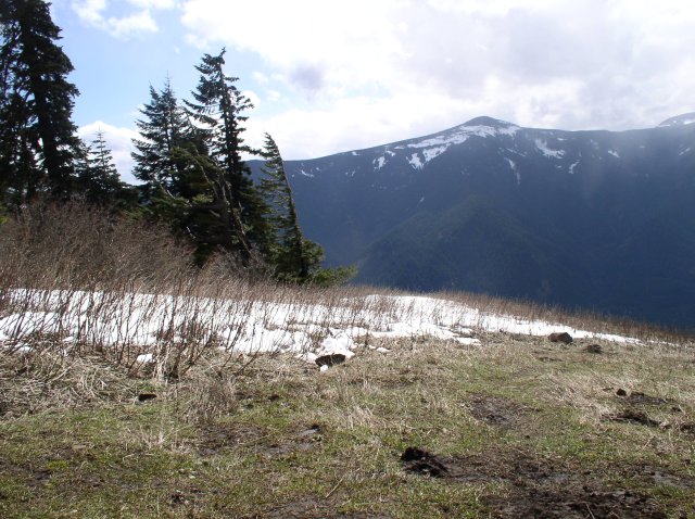 3.24.06 Dog Mountain 040 